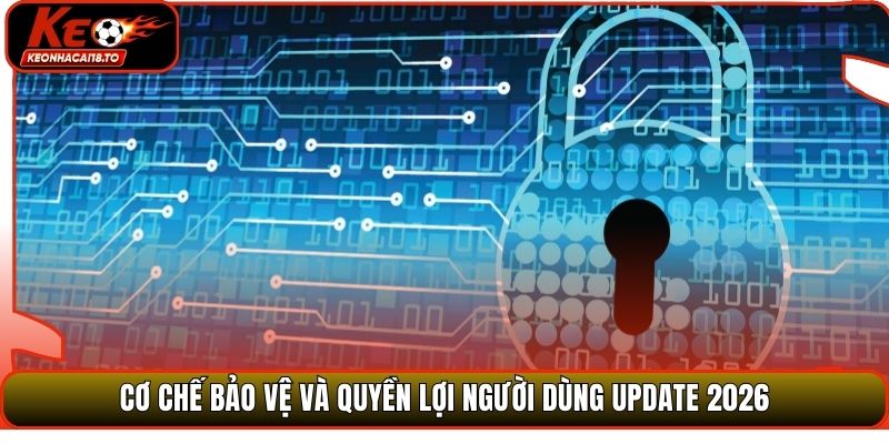 Cơ chế bảo vệ và quyền lợi người dùng update 2026
