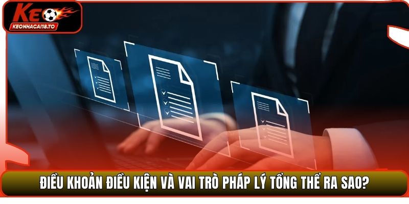 Điều khoản điều kiện và vai trò pháp lý tổng thể ra sao?