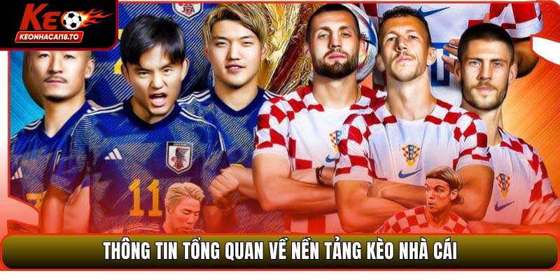 Thông tin tổng quan về nền tảng Kèo Nhà Cái