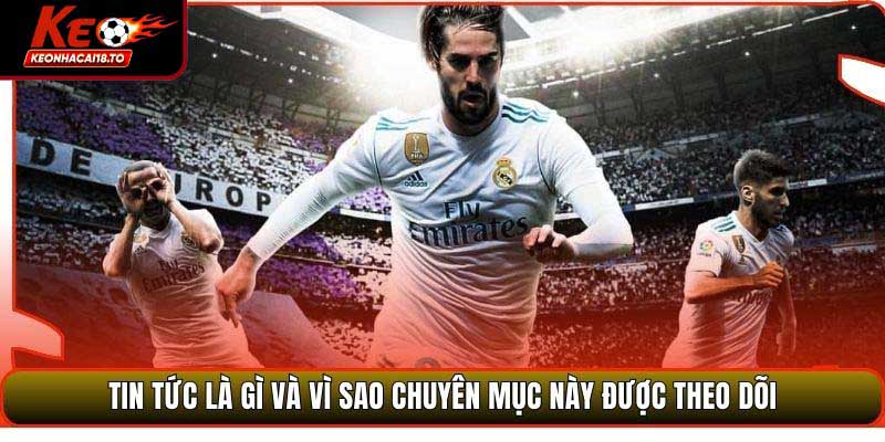 Tin Tức là gì và vì sao chuyên mục này được theo dõi