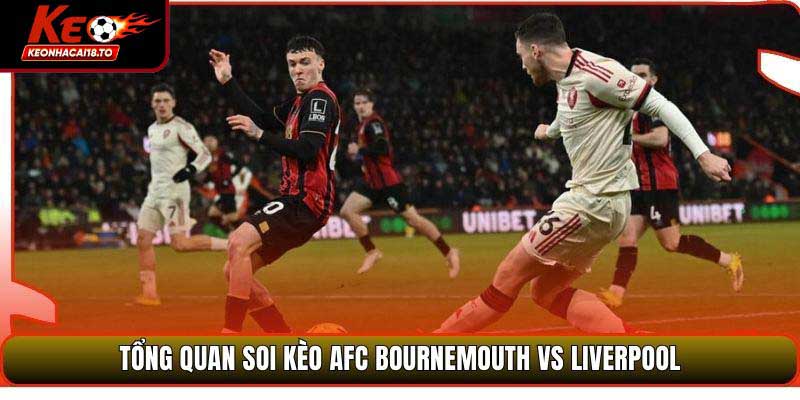 Tổng quan soi kèo AFC Bournemouth vs Liverpool