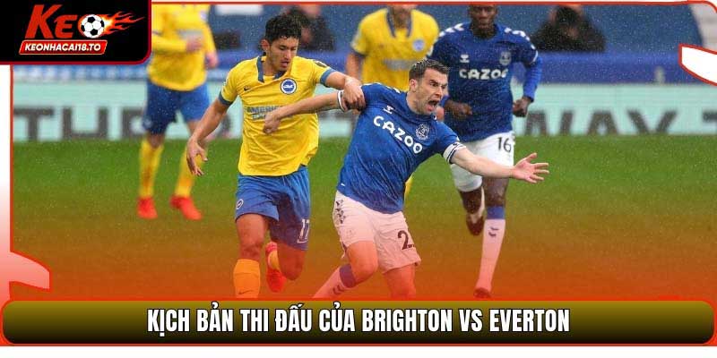Soi Kèo Brighton & Hove Albion Vs Everton