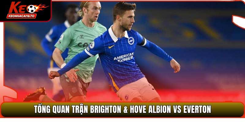 Soi Kèo Brighton & Hove Albion Vs Everton