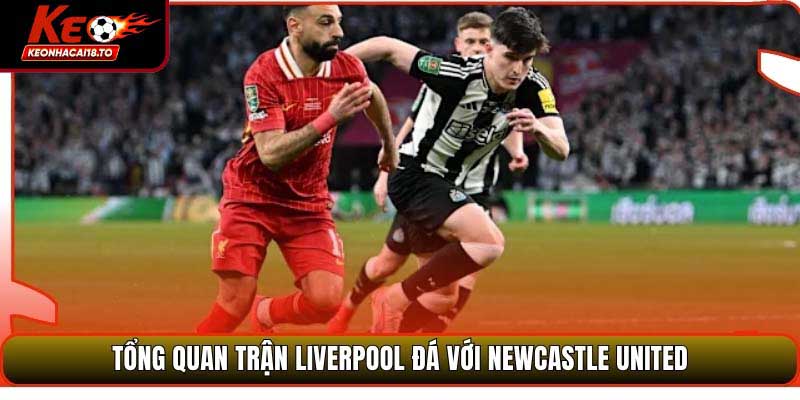 Soi Kèo Liverpool Vs Newcastle United